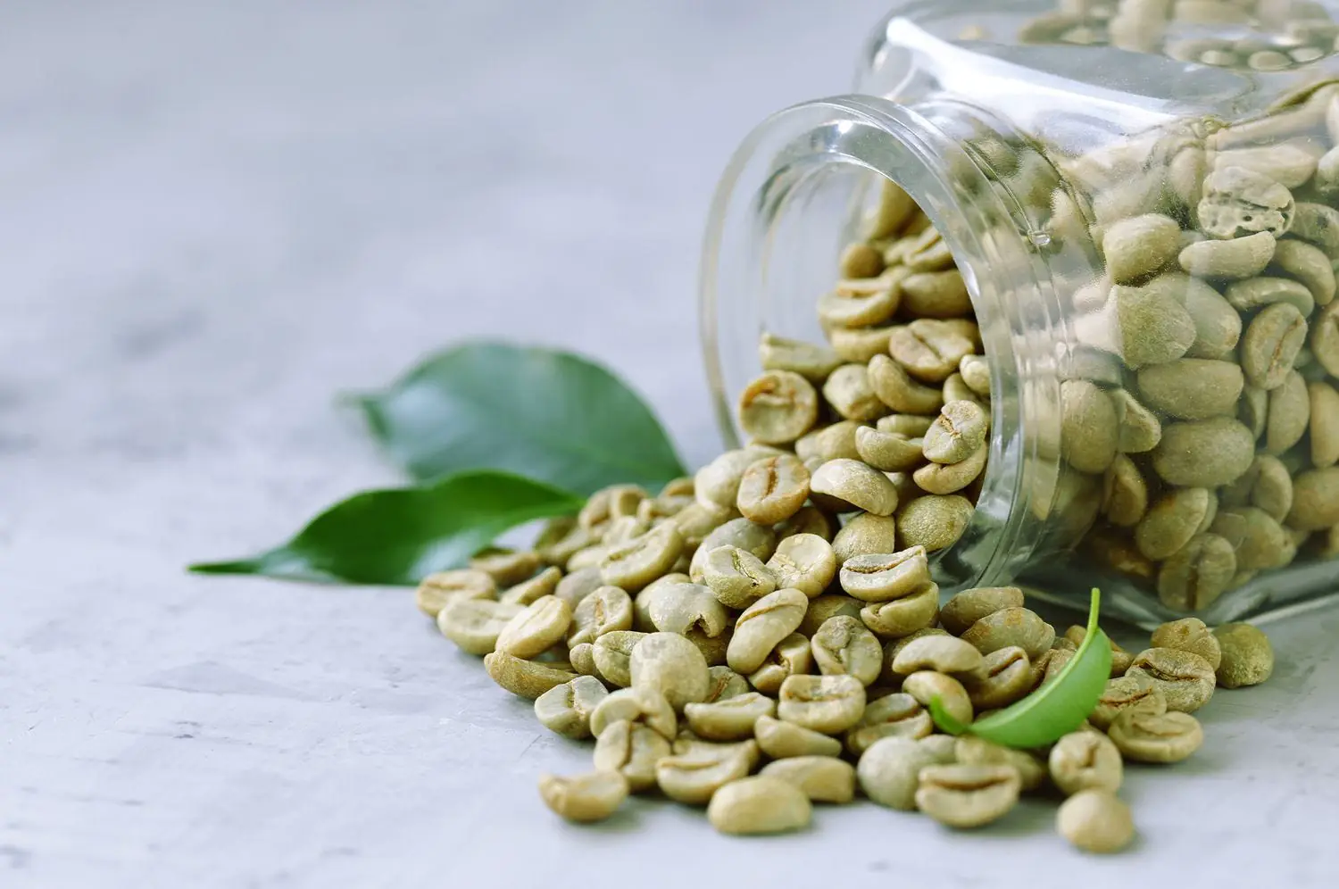 Tất tần tật về Caffeine: Cách caffeine tác động lên não bộ và cơ thể